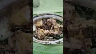 today lunch box recipe day 393/#shorts/easy lunch box recipe/lunch box recipe for kids/d3 kitchen