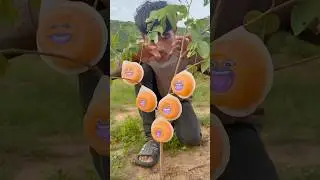 The guy show AMAZING Smart and Useful in Forest #bushcraft #survival #outdoors #skills