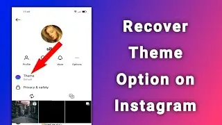 How to fix Instagram Chat Theme Option Not Showing 2023