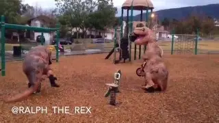A day at the playground with Ralph the Rex