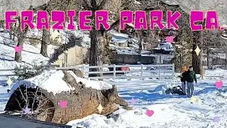 Primera vez visitando en familia FRAZIER PARK #losangeles #frazierpark #2023 #nieve #snowday