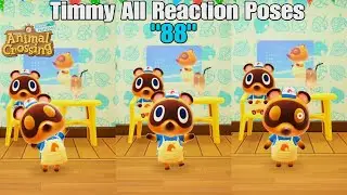 Animal Crossing New Horizons - Timmy All Complete Reaction Poses 