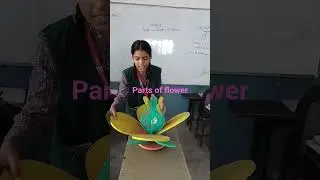 Class 6 Science Topic Parts of flower
