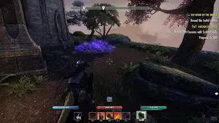 ESO - When the Indrik Glitches Out