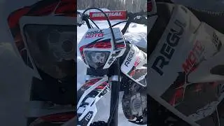 😍 #regulmoto #питбайк #покатушки #мотокросс #лес #поле #альфа #bike #рекомендации