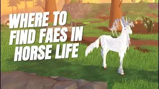 Where to Find Fae in Horse Life | Roblox