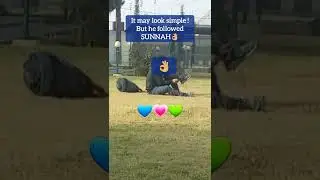 Followung Sunnah💚,Wearing right shoe first ,then left✔️ #shortsfeed #shorts #viralshorts #islam