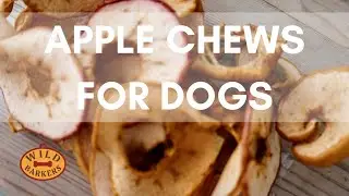 APPLE CHEWS FOR DOGS: EASY, NATURAL, CHEAP, HOMEMADE, DIY DOG TREAT RECIPE | Wild Barkers