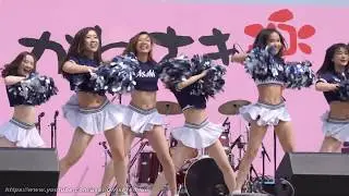 チアリーディング 2019 Cheerleading