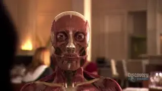 Brain Power  - Human Body Pushing the Limits