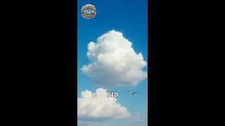 Nimbus Clouds: The Rain-Bringers