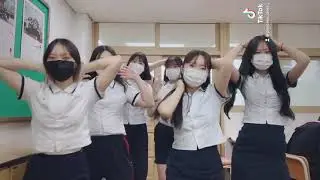 싱싱한 모둠 정식