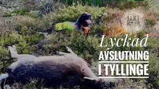 Sista Drevjakten 2022-2023!
