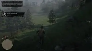 A Quiet Time - RDR2 (Gold Medal)