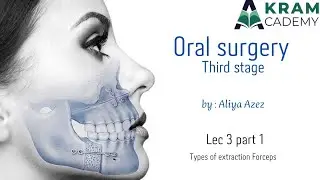 Oral surgery / Types of extraction Forceps lec 3 - part1/3rd stage/Dr Aliya azez