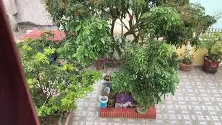 C&aacute;ch troll ch&oacute; poodle cực h&agrave;i