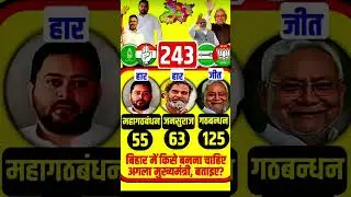 Bihar election 2025 opinion poll: Bihar assembly election, who will win Bihar? NDA vs INDIA survey