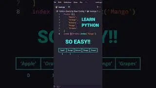 Python For BEGINNERS, Easy Python Tutorial, A Python QUEEN'S STORY?? 