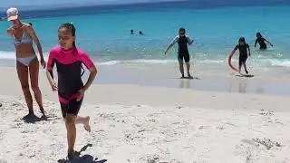 Daisy and Friends at Berry And Jervis Bay.