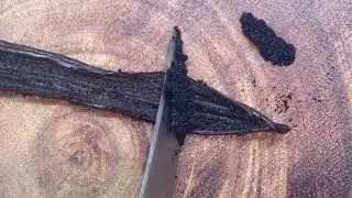 Top Supplier of Vanilla Beans in Bulk & Vanilla Bean Powder in the US.