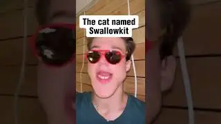 Names of Warrior Cats... #meme #speedmcqueen #foryou #warriorcats  #trending