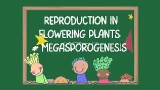+2 science, biology ,microsporogenesis ,CHSE ,ODISHA PART -5