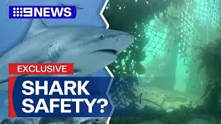 Putting Sydney's swimming spots to the test following string of shark attacks | 9 News Australia