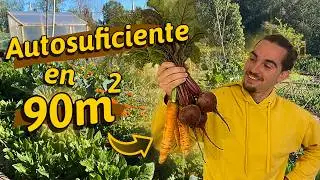 Deja de Comprar Verduras: 5 Hábitos Para Producir Tu Comida Todo El Año 🌽