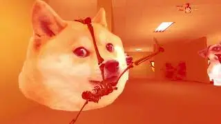 gawys mawd UwU