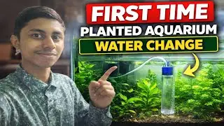 first time planted aquarium water change || planted tank water change || krishnendu official vlog