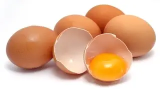 Killing Eggs! (18+)