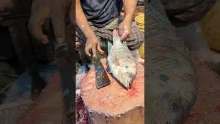 Fast Tilapia Fish Cutting Skills In Bangladesh Local Fish Market #short