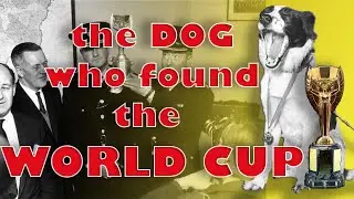 How Pickles the Dog found stolen World Cup trophy