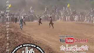 BULL RACE IN PAKISTAN