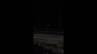A deer trying to cross the busy road