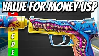ULTIMATE Value for Money CS2 USP Tier List!