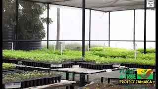 National Tree Planting Initiative