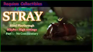 Stray - Blind play - No commentary - RX580 - High settings.