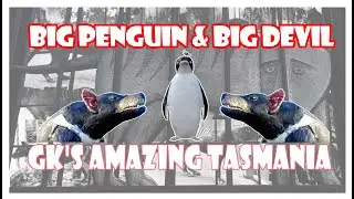 The Big Devil & The Big Penguin Tasmania, Aussie Big Things Coins of Tasmania