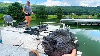 Bluegill Fishing at The Slab Lab: Dinner Plates and Great Times.