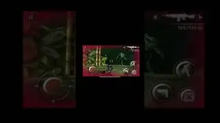 Execution #6