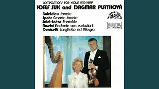 Sonata for Violin and Harp in E flat major, Op. 8 - Allegro