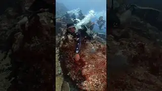 Strong current @ SHOTGUN