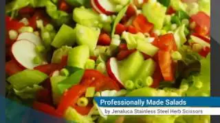 Jenaluca Stainless Steel Herb Scissors - Multipurpose Kitchen Shear