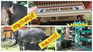 Elephant Museum Konni, Elephant Camp Konni, Konni Elephant Museum, Elephant Ride Konni,