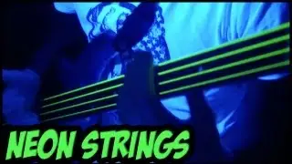 NEON FLEABASS! [Funk Slap Bass]