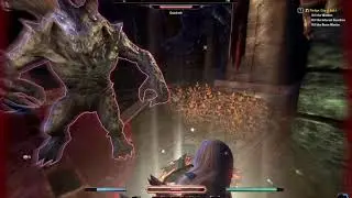 Elder Scrolls Online DK Medium armor build