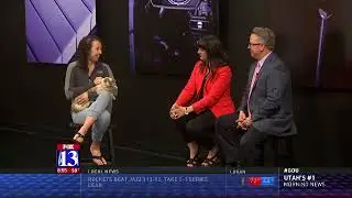 ZOE - Fox 13 Best Friend from the Humane Society of Utah