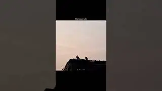 This Song 🤌💗 || Aesthetic Lyrics Edit || WhatsApp Status || #trending #viral #instagram #love #song