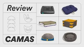 Cama para cachorro e gato: qual a melhor pro seu pet? | Petz TV Review